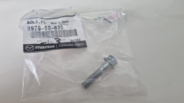 Clutch Slave Cylinder Bolt