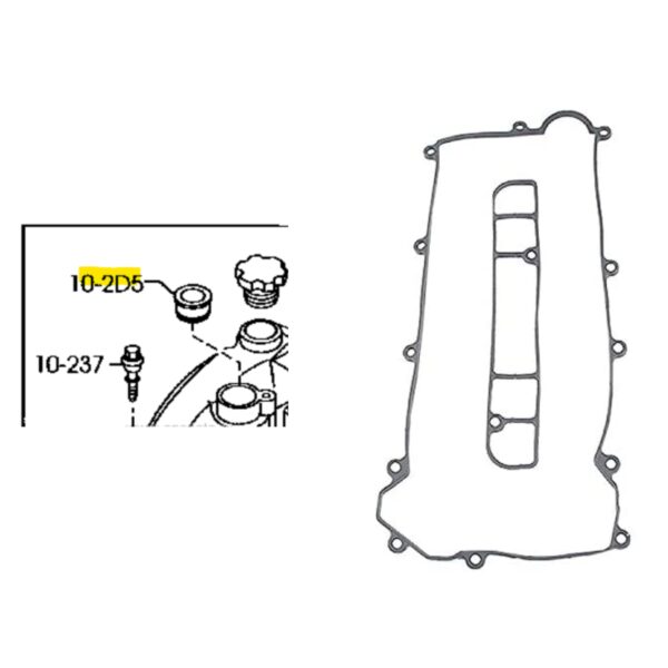 MS3 / MS6 - Valve Cover Gasket & VVT Seal